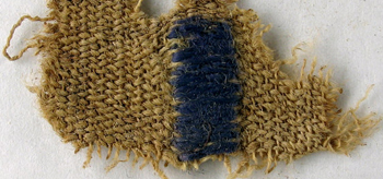 2000 Yr Old Fragment